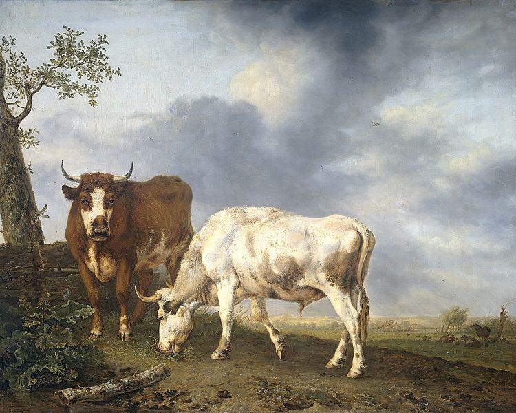 Jan Kobell Oxen in the meadow oil painting image